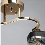 Потолочная люстра MW-Light Тетро 673016702
