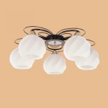 Потолочная люстра Citilux Николь CL168155