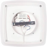 Настенно-потолочный светильник Мелодия Света CW1L 000023334