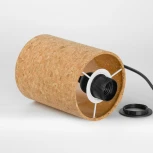 Настольная лампа Lussole LSP-0821 (220V, выключатель)