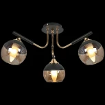 Потолочная люстра Reluce 52132-0.3-03 (220V)