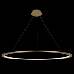 Подвесной светильник Loft IT Ring 10014XXL (LED, 220V, на тросе, кольцо)
