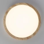 Настенно-потолочный светильник Citilux Бейсик CL738182V (регулировка яркости, LED, 220V, круглые, IP40)