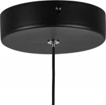 Подвесной светильник Lightstar Saturno 749017 (LED, 220V, на проводе)