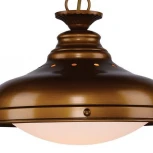 Подвесной светильник Favourite Laterne 1330-1P1