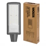Уличный консольный светильник STL-100W/02 100Вт 5700К IP65 10000лм Wolta STL-100W/02