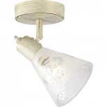 Спот Favourite Gumbata 1794-1W