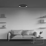 Потолочный светильник круглый светодиодный Maytoni Lua C093CL-45W4K-B (220V, круглые)