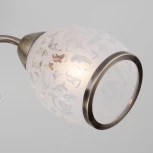 Потолочная люстра Eurosvet 30026 30026/3 античная бронза (220V, лепестки)