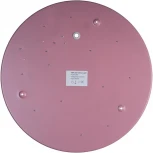 Потолочный светильник круглый Loft IT Axel 10003/24 Pink (LED, 220V, круглые)