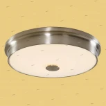 Потолочный светильник Citilux Фостер-2 CL706231