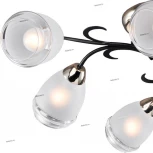 Потолочная люстра Lussole Lgo Oakland LSP-9952