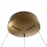 Подвесной светильник с гибким неоном и пультом Citilux Python CL220263 (регулировка яркости, LED, на тросе)