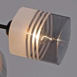 Потолочная люстра на штанге Reluce 70176-3.3-04 BK (220V)