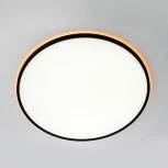 Потолочнвый светильник RGB круглый светодиодный Citilux Norma CL749601 (220V, пульт управления, круглые, IP40)