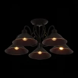 Потолочная люстра Evoluce Ciolla SLE120402-05 (220V)