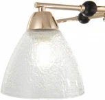 Потолочная люстра на штанге Arte Milano Napoli 324119/5 FG+BK (220V)