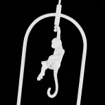 Подвесной светильник Evoluce Tenato SLE115123-01 (220V, на проводе, шар, животные)