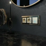 Сенсорный выключатель двухклавишный с подсветкой 1000 Вт (шампань) Werkel W4520011 (a057683)