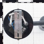 Спот на штанге Citilux Ринг CL525522 (220V, круглые)