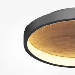 Потолочный светильник круглый Maytoni Orign MOD311CL-L40B3K (LED, 220V, круглые)