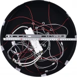 Потолочная люстра Natali Kovaltseva HIGH-TECH LED LAMPS 82009 BLACK (регулировка яркости, 220V, пульт управления, цветы)