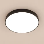 Потолочный светильник RGB круглый светодиодный с пультом Купер CL72495G1 (220V, круглые)