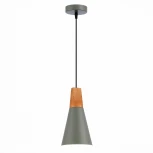 Подвесной светильник Evoluce Modica SLE125173-01 (220V, на проводе)