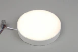 Потолочный светильник круглый Aployt Evon APL.0113.09.24 (LED, 220V, круглые)
