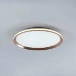 Потолочный светильник светодиодный с пультом с регулировкой цветовой температуры LED4U LED4U L3020-400 GD