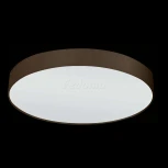 Настенно-потолочный светильник Eglo Pasteri 97616