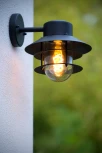Настенный фонарь уличный Lucide Zico 11874/01/30 (220V, IP44)