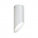 Накладной точечный светильник Vitaluce V4642-0/1PL (220V, круглые)