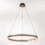 Подвесной светильник светодиодный Citilux Helly CL211082 (220V, на проводе, круглые)