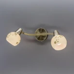 Спот на штанге Citilux Соната CL520523 (220V, цветы, круглые)