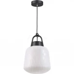 Уличный светильник подвесной Novotech Conte 370601 (220V, на проводе, IP44)