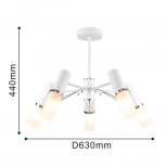 Потолочная люстра F-Promo Viator 2559-5P (220V)