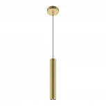 Подвесной светильник Maytoni Pro Focus MOD161PL-01G1 (220V, на проводе, круглые)