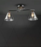 Потолочная люстра Wedo Light Dorika WD3636/2C-CF-FGD-SMK