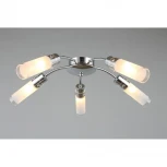 Потолочная люстра Omnilux 287 OML-28707-05