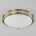 Настенно-потолочный светильник Citilux Бостон CL709323N (LED, 220V, диммер, круглые, IP44)