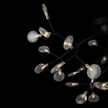 Люстра потолочная Florencia FR5049CL-36B