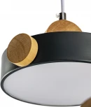 Подвесной светильник светодиодный Ritter Scandia 52078 8