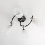 Потолочная люстра Citilux Сиерра CL119241 (220V)