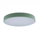 Потолочный светильник круглый Loft IT Axel 10002/24 Green (LED, 220V, круглые)