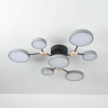 Потолочная люстра с пультом на штанге LED Lu Carte LC-11-1717