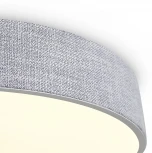 Потолочный светильник круглый Freya Ruler FR5555CL-L30BGG (LED, 220V)