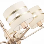 Подвесная люстра Almese SLE300203-05