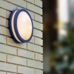 Потолочный светильник уличный Oasis Light SIDNEY 3362 Gr