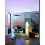 Интерьерная настольная лампа Eglo Carpara 97133